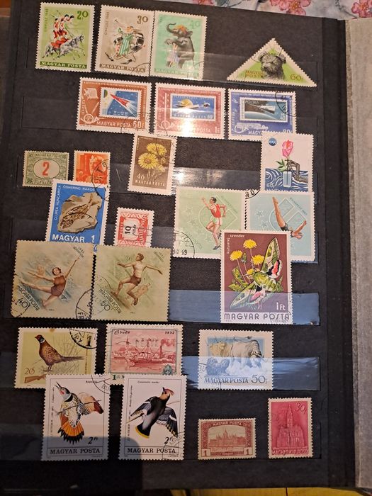 Clasor timbre deosebit pentru colecționari