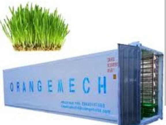 Контейнер - Автоматика на гидропонный корм и на микрозелень 900у.е.