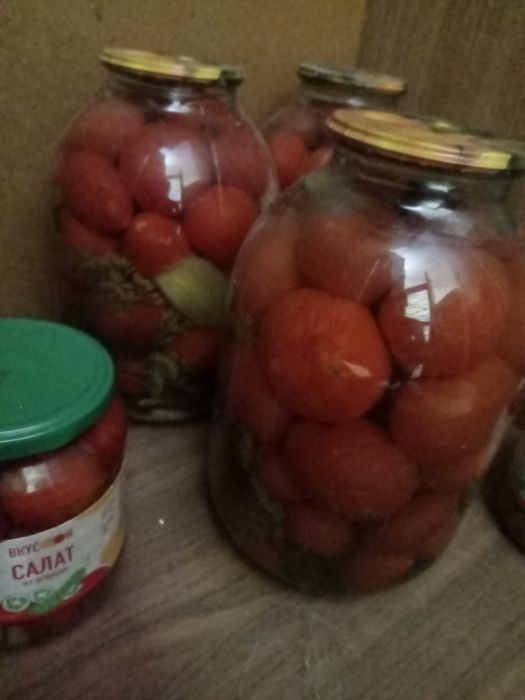 Продам помидоры соленые сладкие