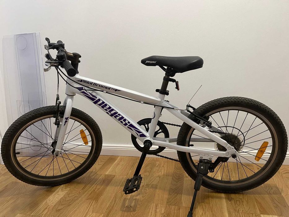 Vand Pegas Mini Drumet 20`