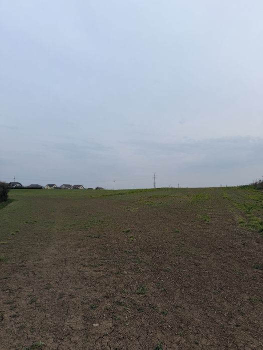 Teren intravilan Livada de Bihor