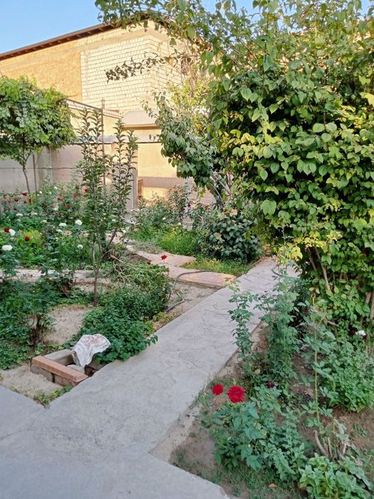 Продается дом с участком