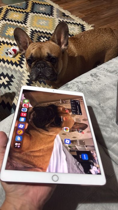 Ipad pro 10,5 64gb + cell(sim)