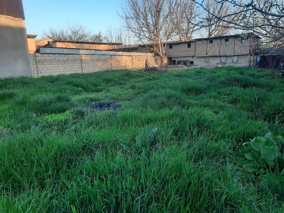 Toshkent viloyati Keles da orqa oldi ko'cha 6 - sotux quruq er sotilad