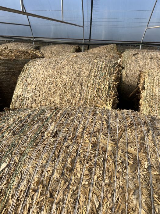 Baloti lucernă si de coceni(avem si transport contra cost motorina)