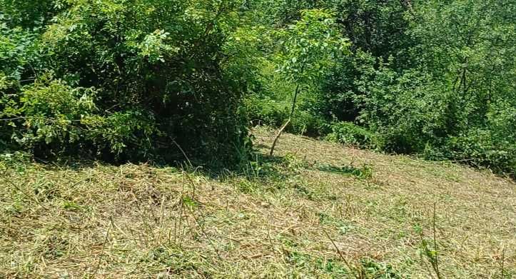 Curatare teren , tocare vegetatie,