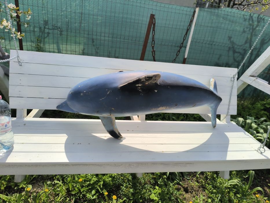 Delfin butaforie design