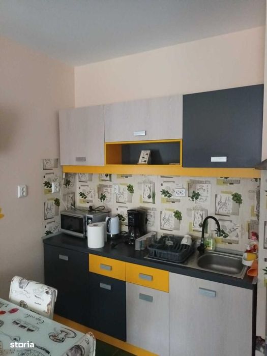 Casa cu 3 unitati locative, potential investitional excelent, zona UMF