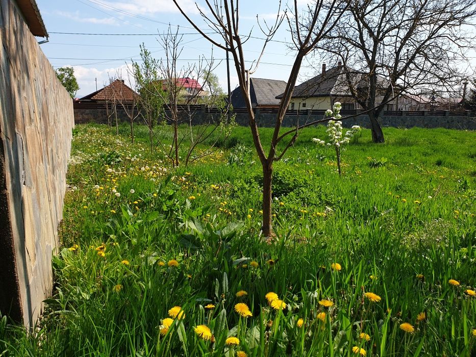 Teren împrejmuit cu gard placat cu piatră naturală  11 arii la