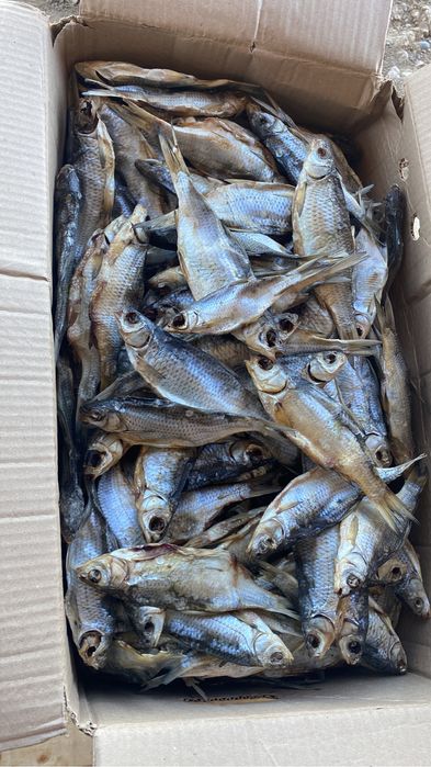 Вобла.Лещ.Жерех.Вяленый вобла