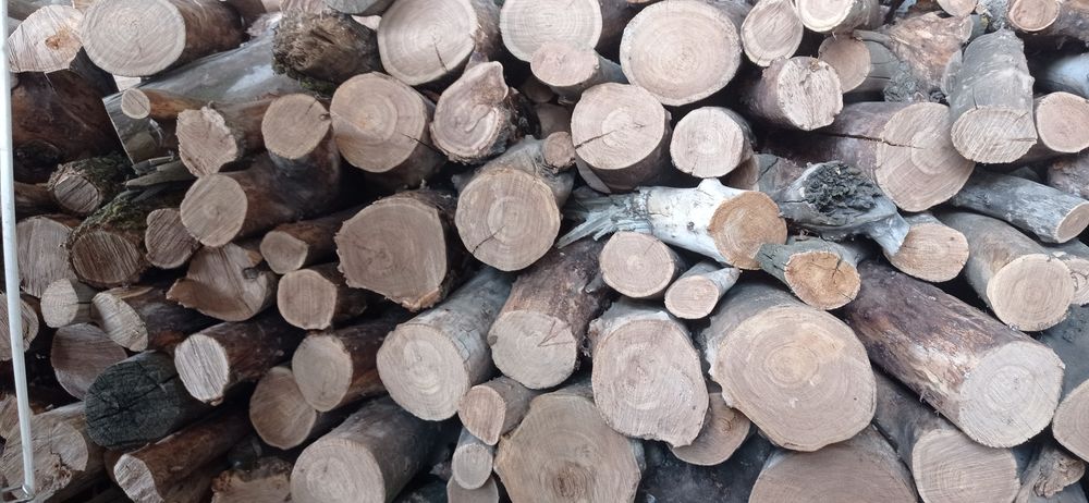 Дрова карагач сухой