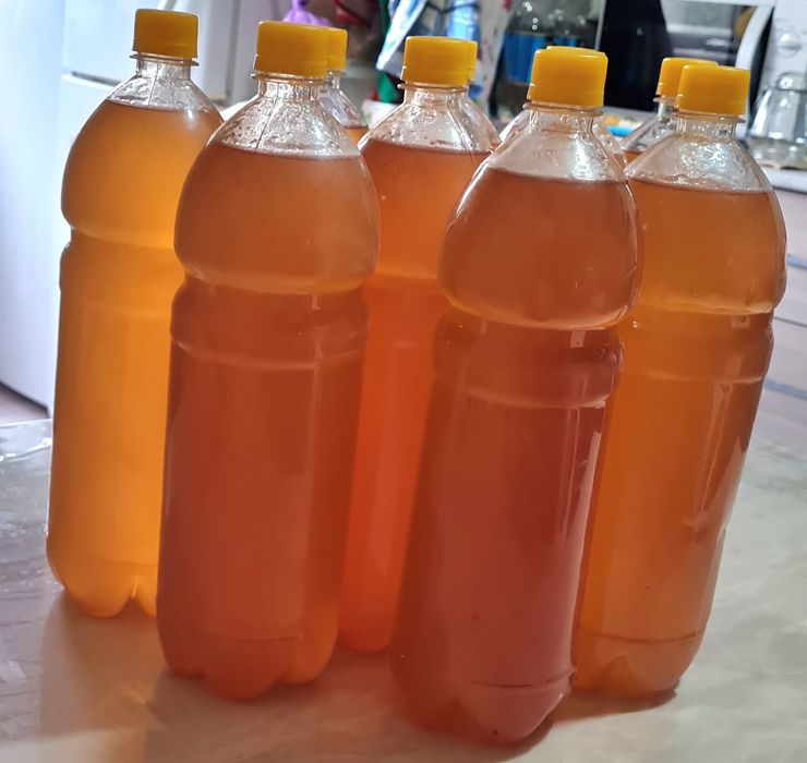 Мед жантачный домашний