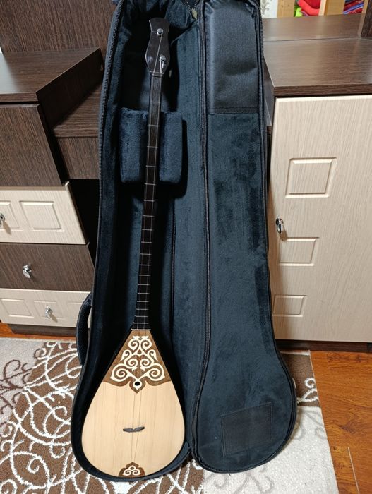 Профессионалды домбыра