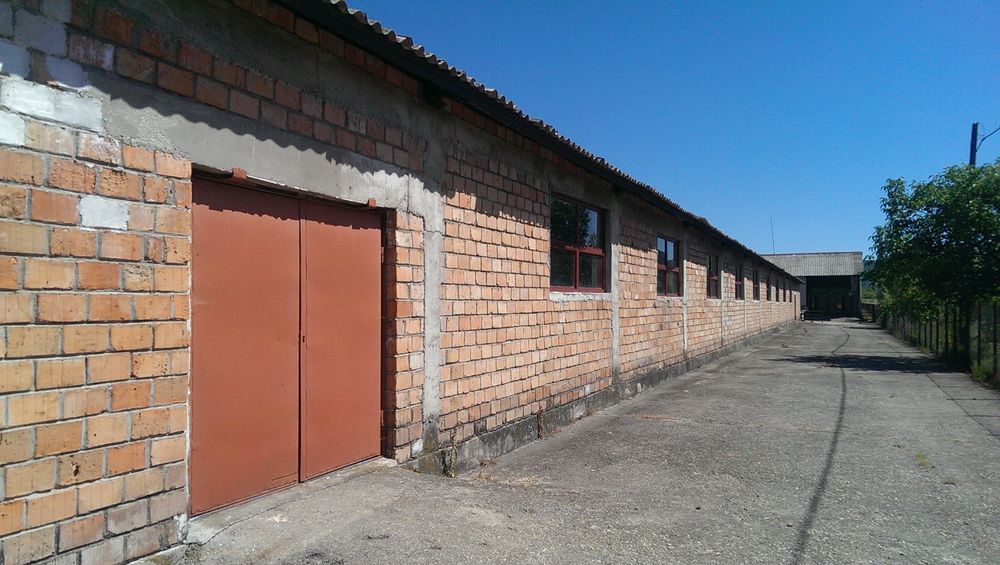 Ferma,spatii, hale de închiriat de vânzare