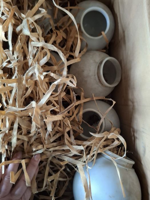 Продам стекло/плафон к светильникам