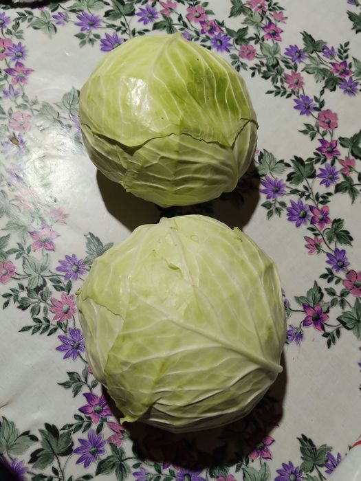 Varză cu frunză subțire