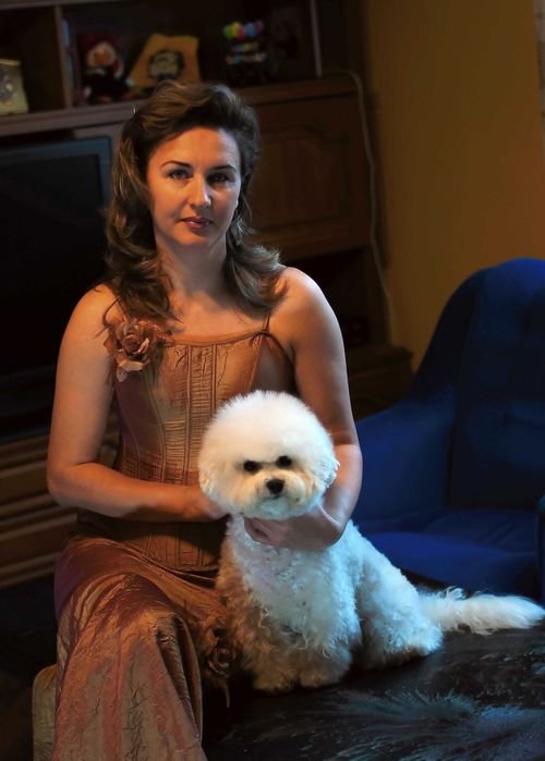 Bichon Frise cu Pedigree si pasaport