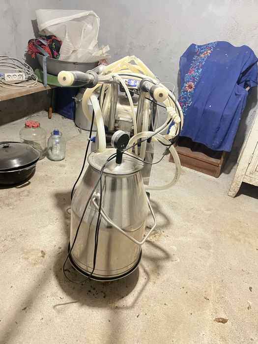 Бие, сиыр ешкі сауатын апарат