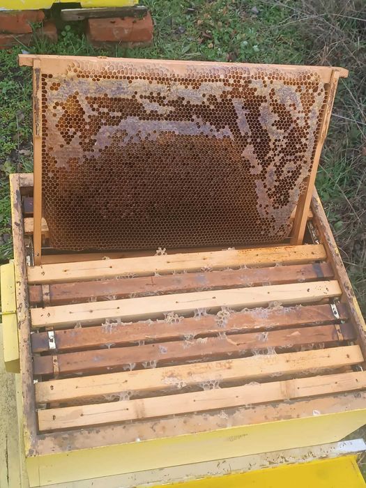 Продавам кошери ДБ 10 рамкови