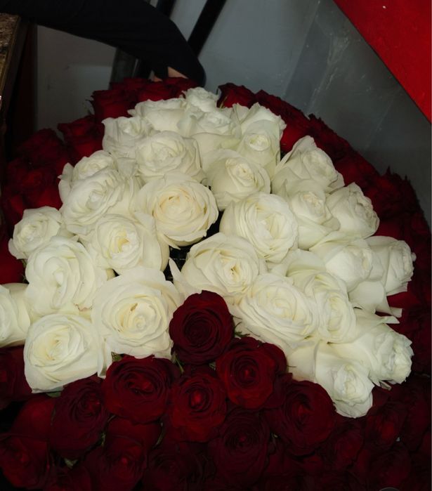 Голандские розы 101