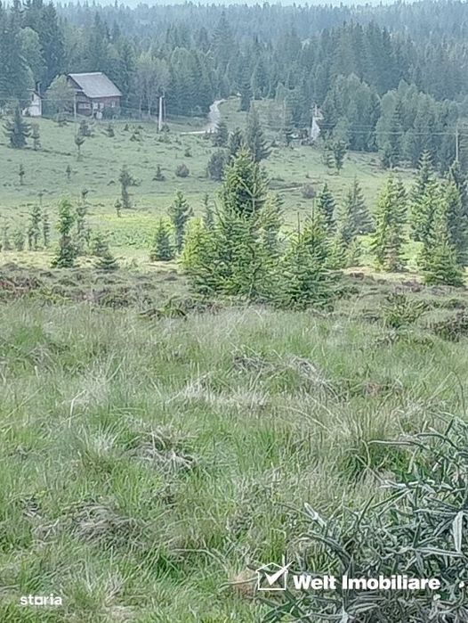 Vanzare Teren – Risca, Comuna Belis