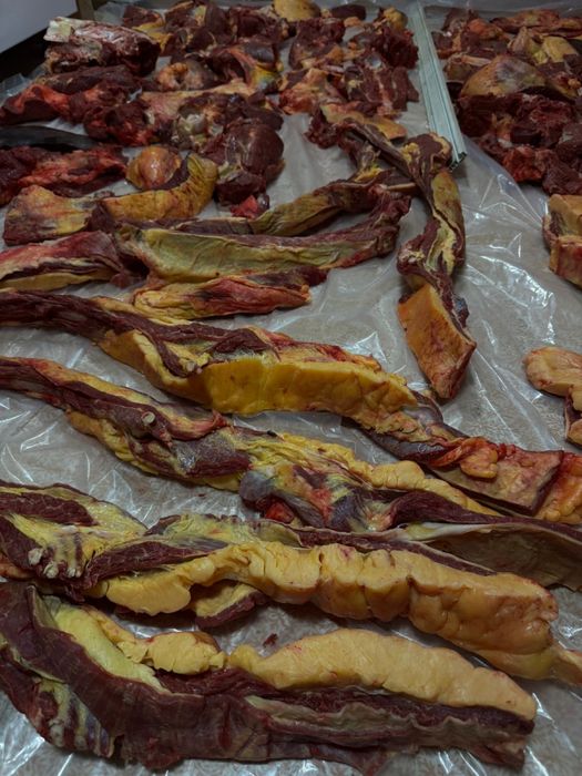 Продам конину быр сирак