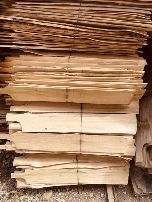 Sindrila / sita / dranita cu TRATAMENT