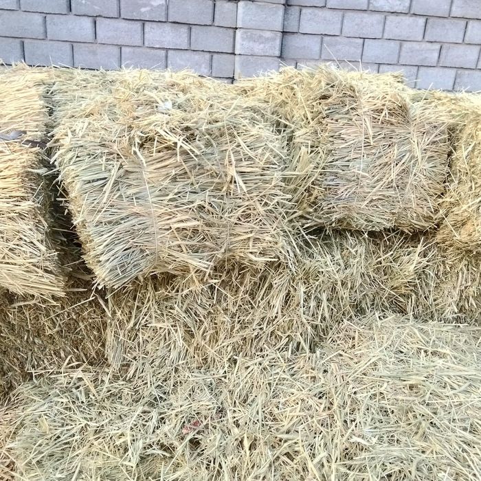 Қырдың шөбі сатылады