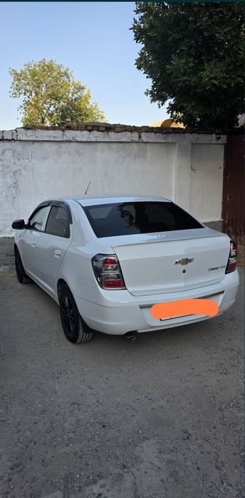 Cobalt oq midnight. Kraska toza. 2025 yil
