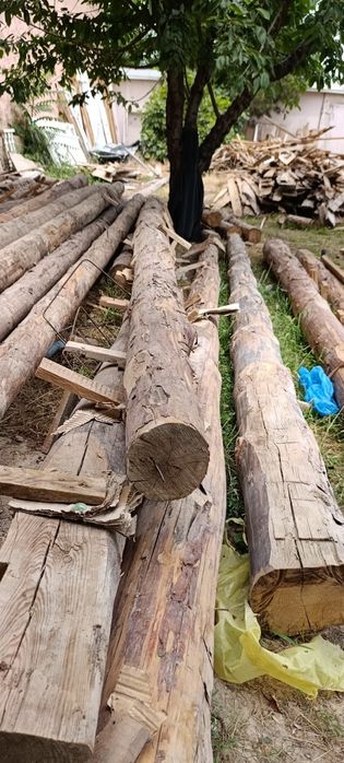 Sasna rasiya kurugle holati zor 450000 mindan  4.5m -6.1 m bor