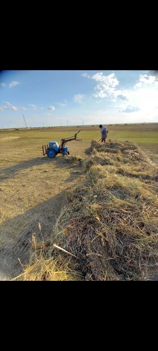 Продам Мтз 80 в комплекте.