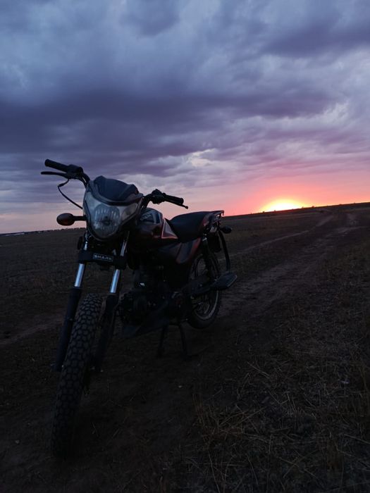 Альфа SHARK 125 куб