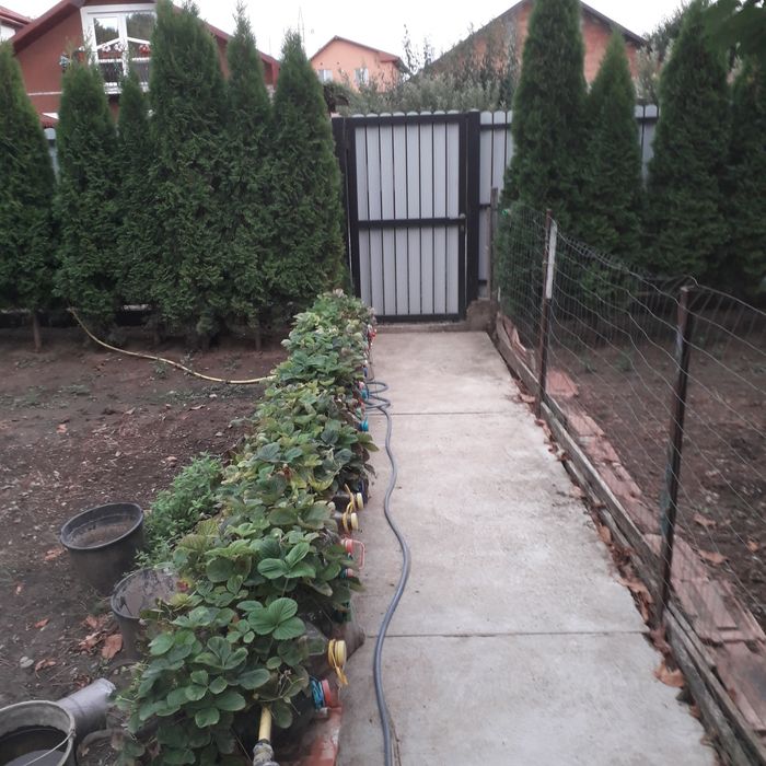 Casă individuală p+1 Vaslui