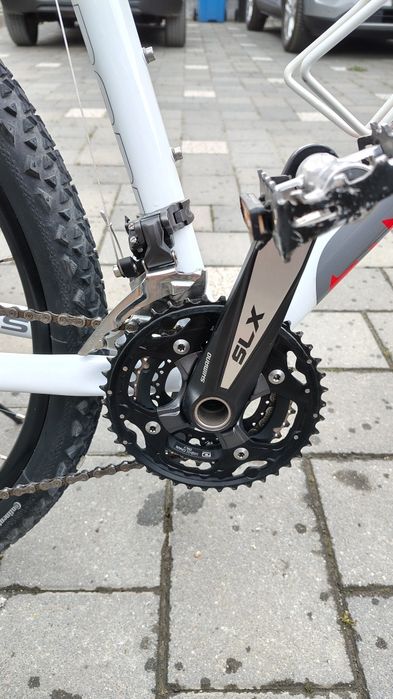 Focus Black Rider Sport Series