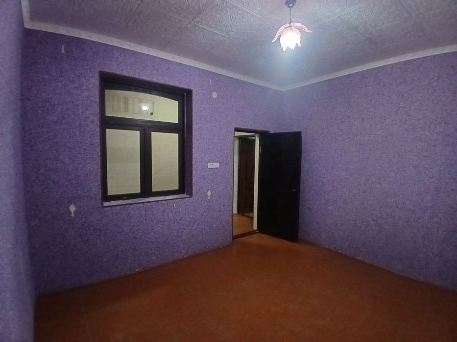 Kotej xovli!! Zamonaviy uslubda