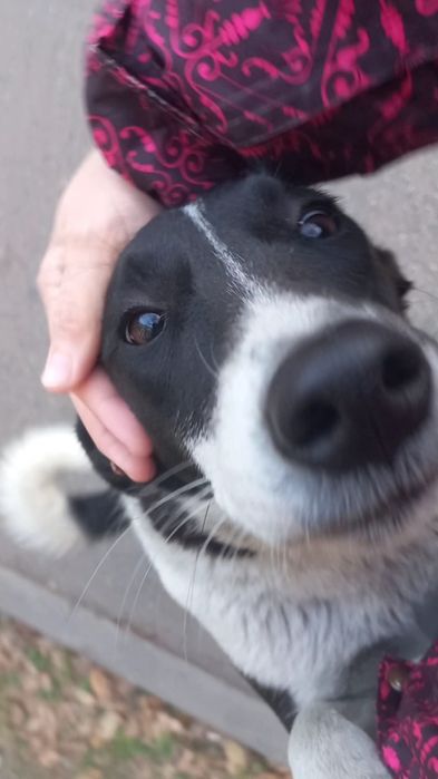 В поиске любящей семьи