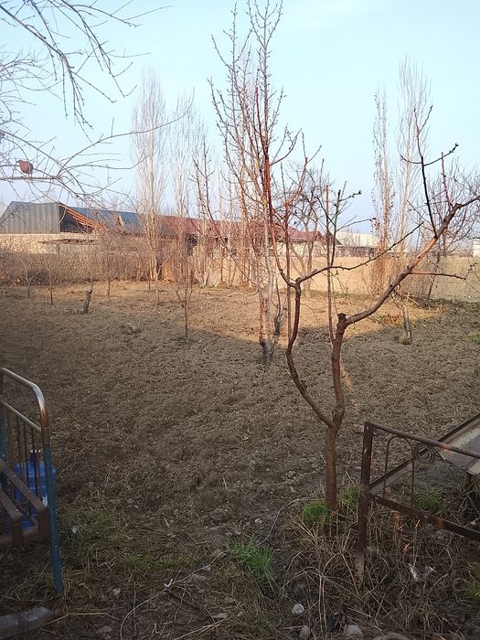 Maktab.bohicha.doʻkonlar.bor