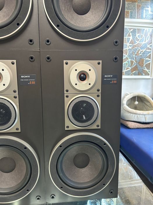 Тонколони SONY-SS-E55