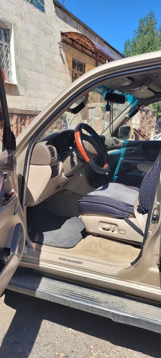 Продам в хорошие руки.