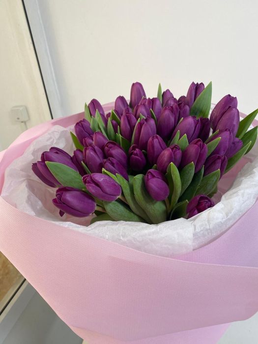 тюльпаны по предзаказу