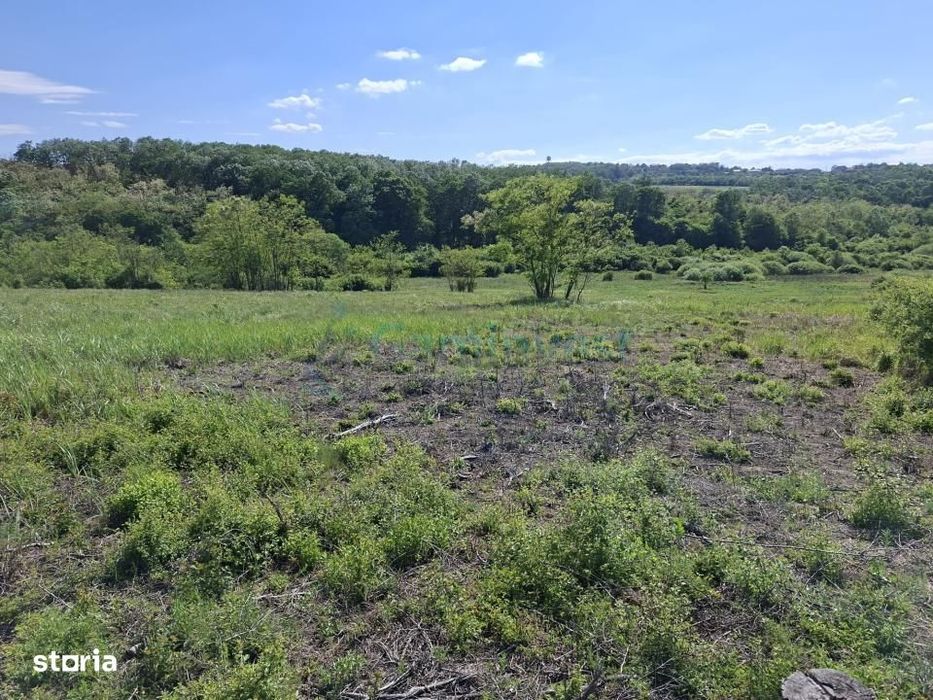 Teren intravilan de vanzare 9783 mp, in Paleu, Bihor, Gaminvest, V4749