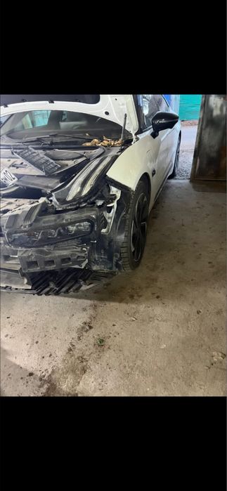 Костоправ маляр