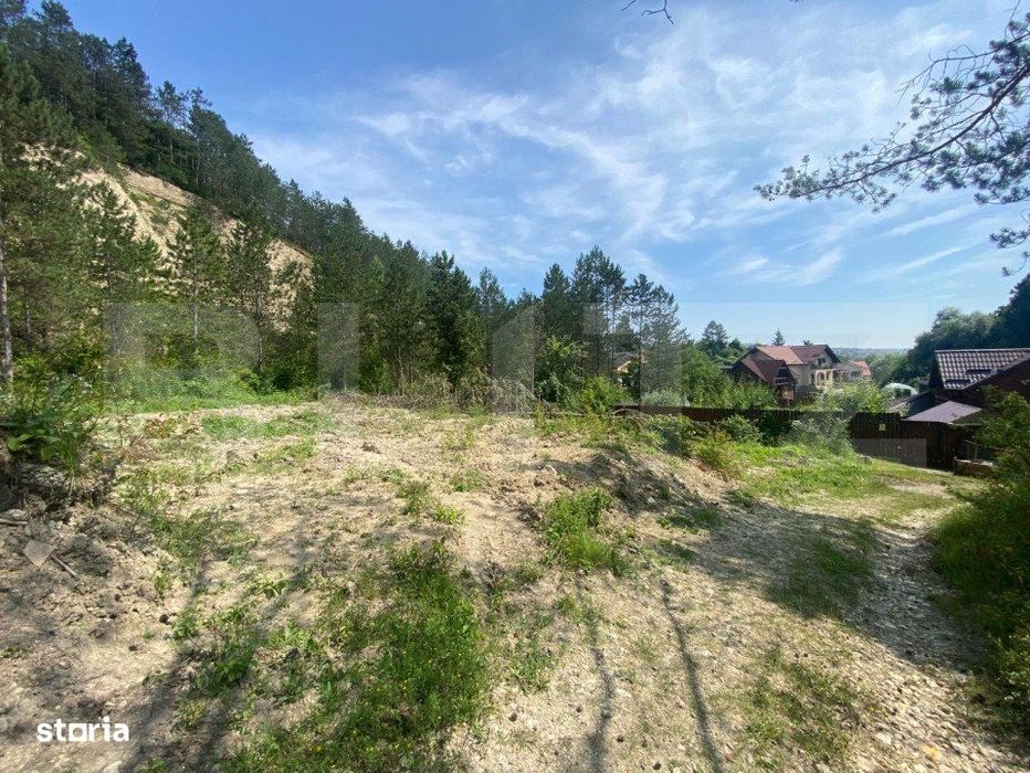 Teren intravilan, 743 mp, 30 ml front la drum, Cheile Baciului