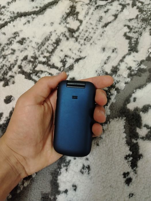 Samsung Gusto 3 DUOS