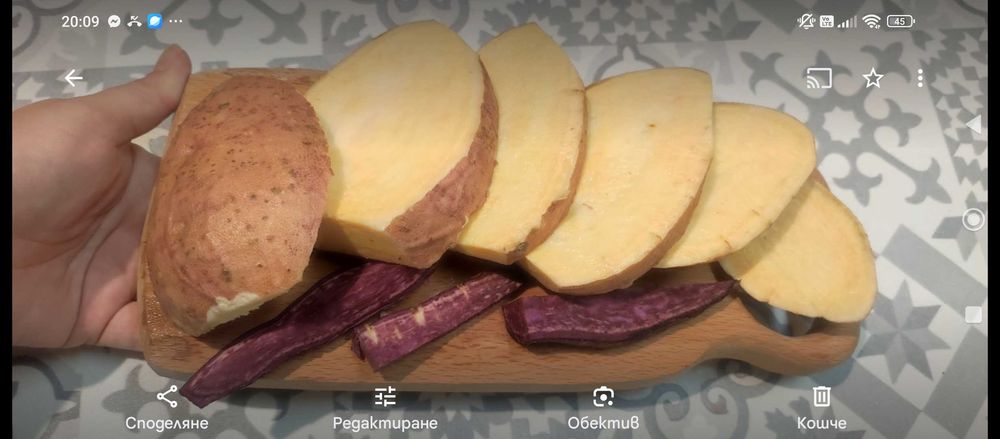 Разсад батати (сладки картофи)