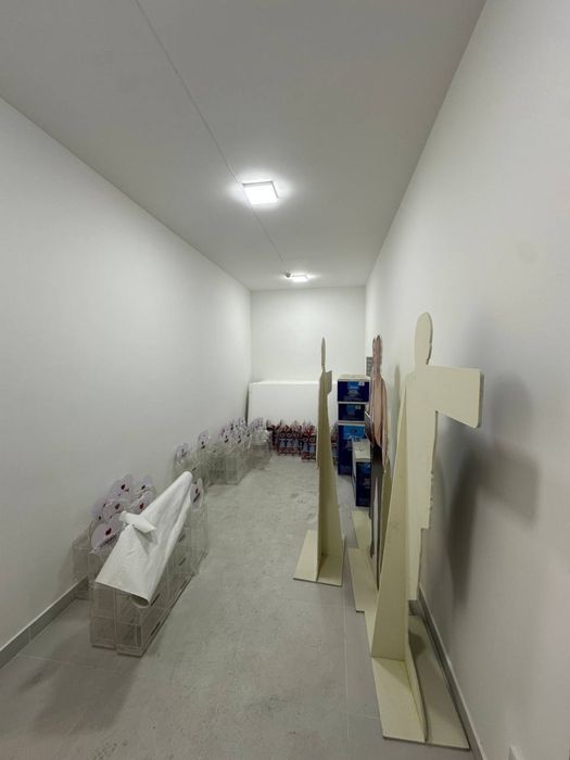 Чехова Фидокор | 290кв - нежилое помещение вдоль дороги Продажа