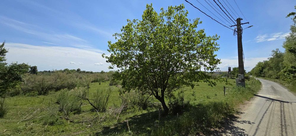 Teren in Delta Dunarii pe bratul Sulina, in Gorgova
