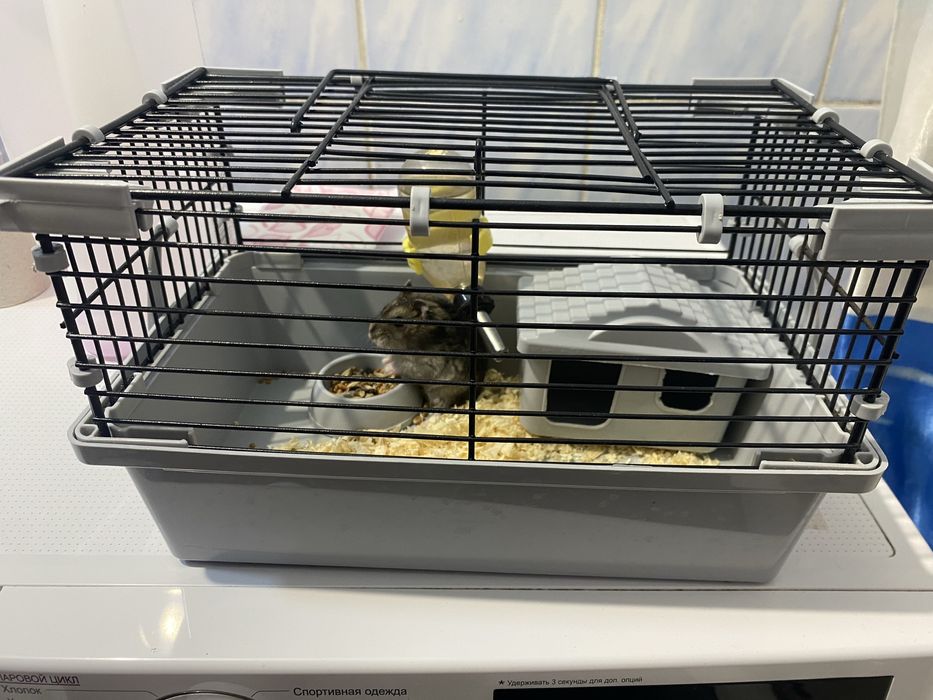 Продам хомяка с клеткой