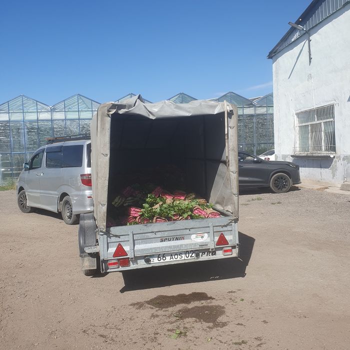 Прицеп автомобил