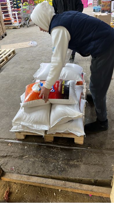 Рис кызылорда лидер сорт